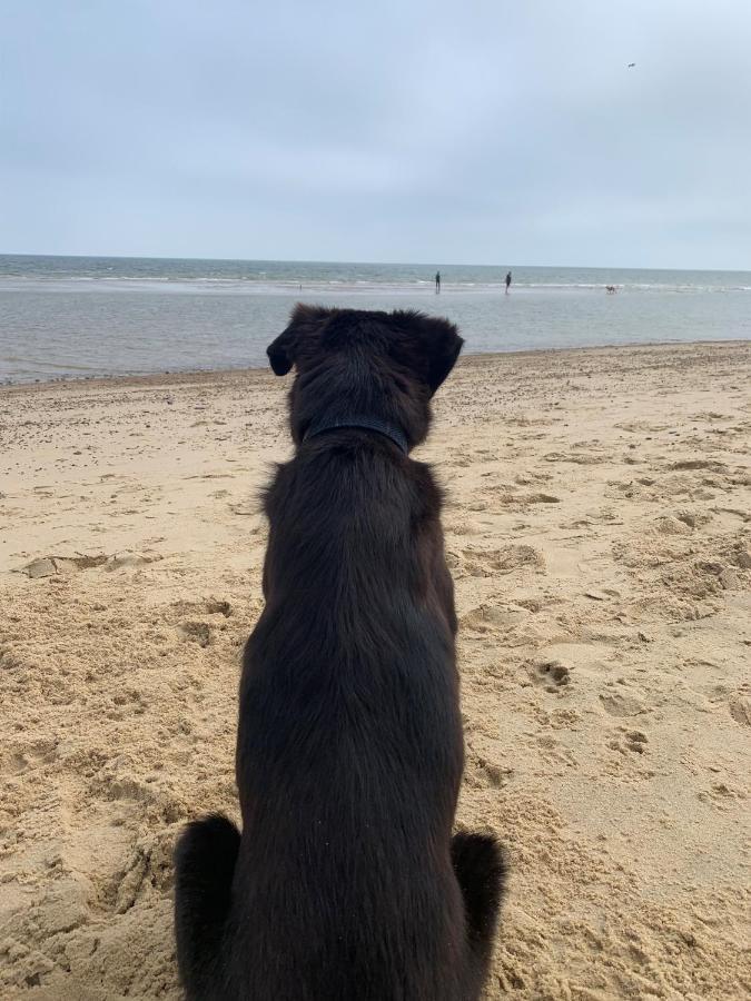 Norfolk Caravan Staycation Pet Friendly Belton with Browston Eksteriør billede